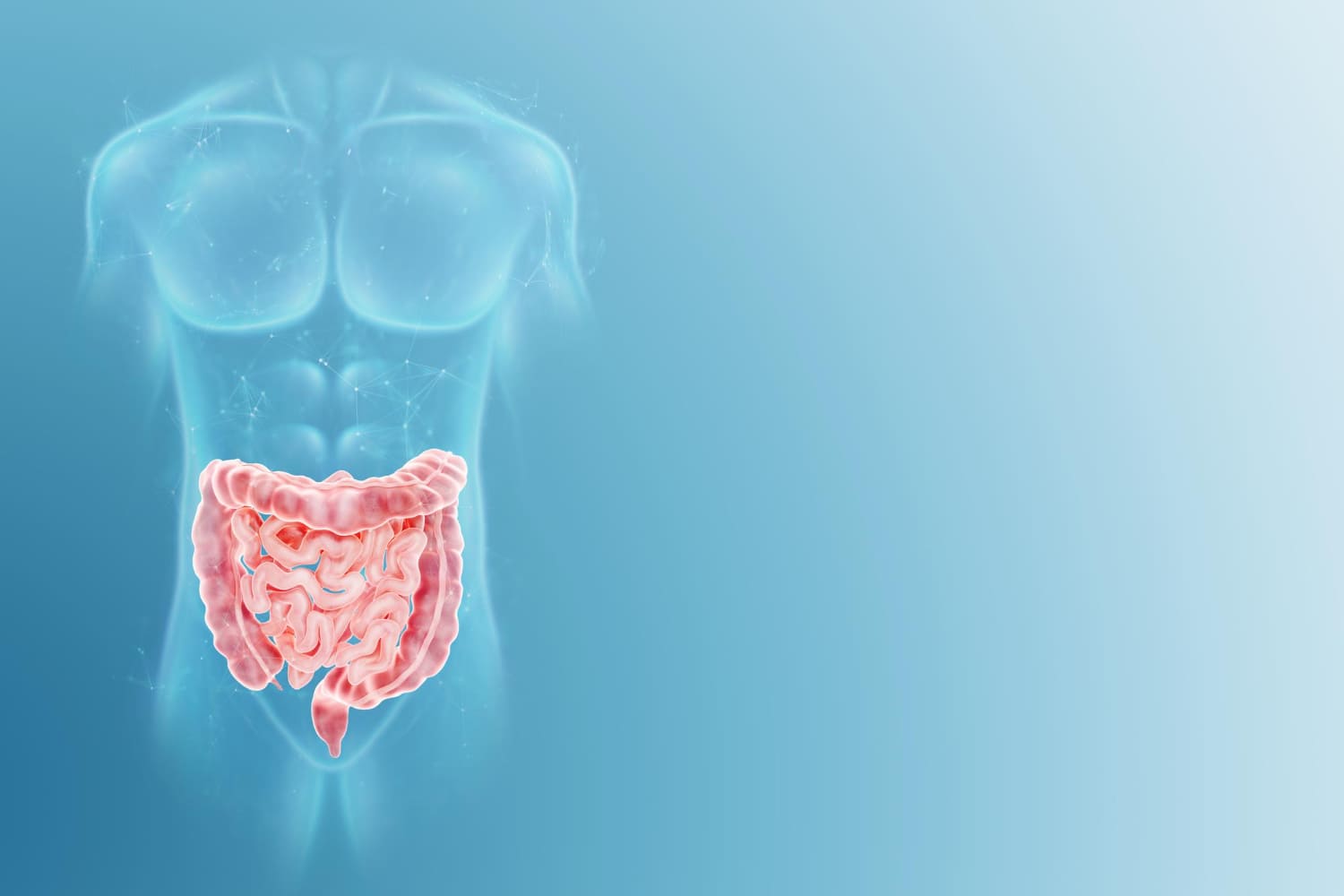 Diagnóstico y Tratamiento de Patología de Intestino Delgado en Naucalpan
